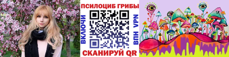 Купить  Армянск  Псилоцибиновые грибы GOLDEN TEACHER 